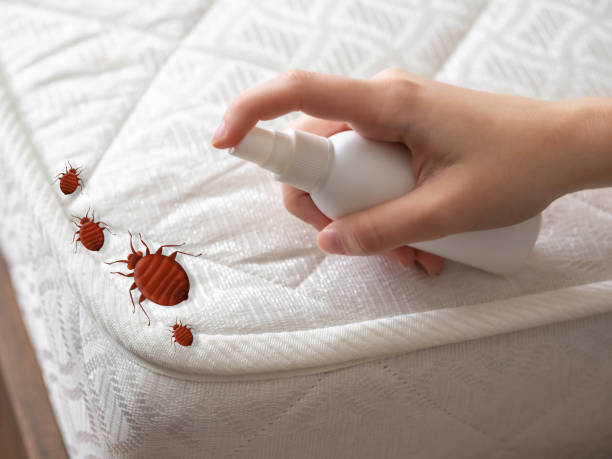 Best Residential Pest Control  in Coraopolis, PA